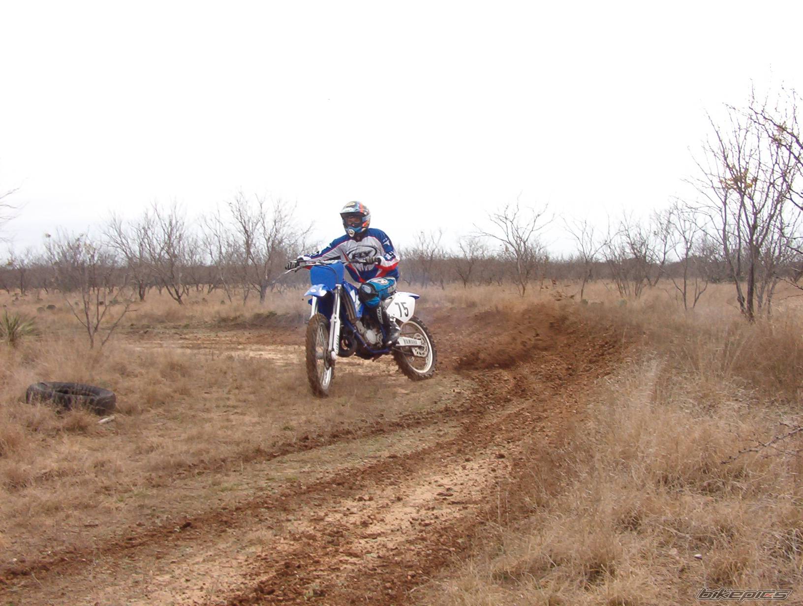 Photo 286010