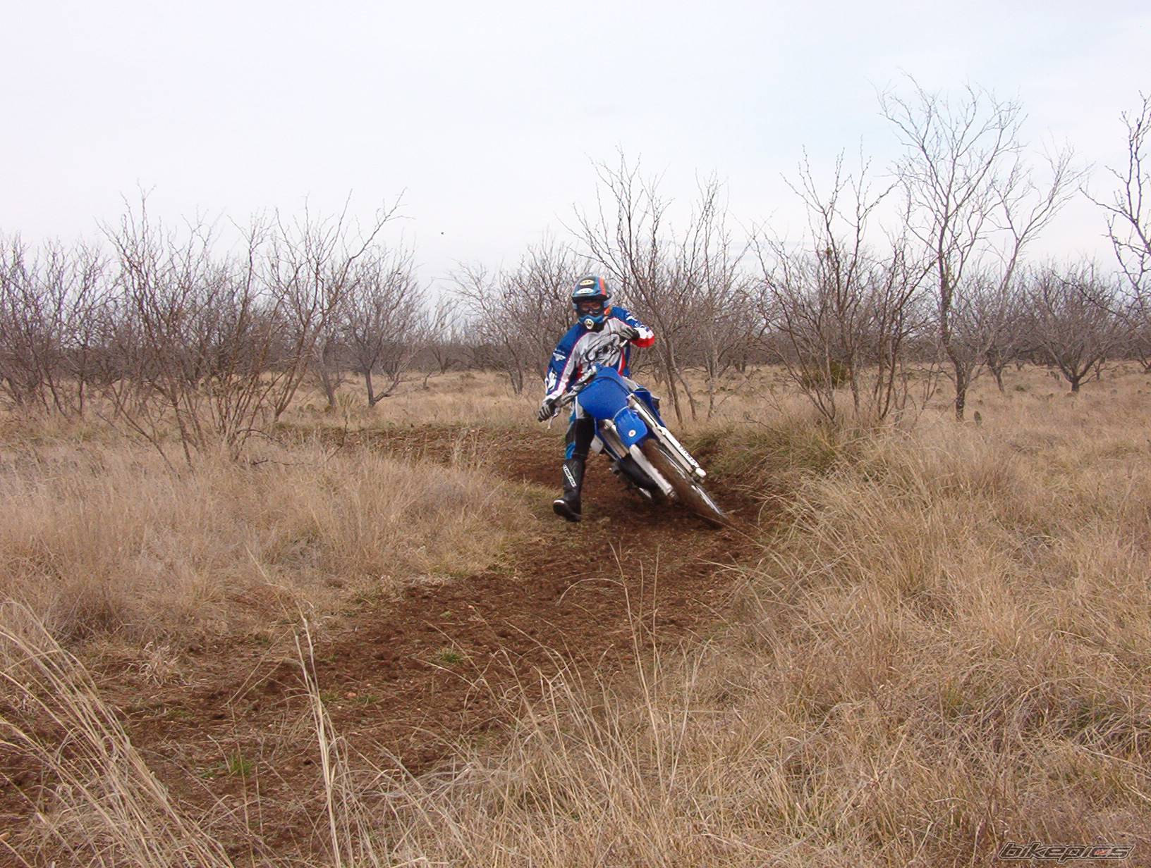 Photo 286021
