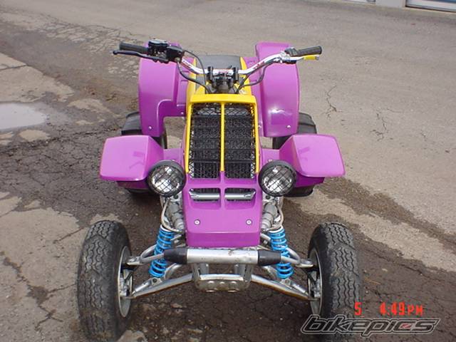 Photo 286050