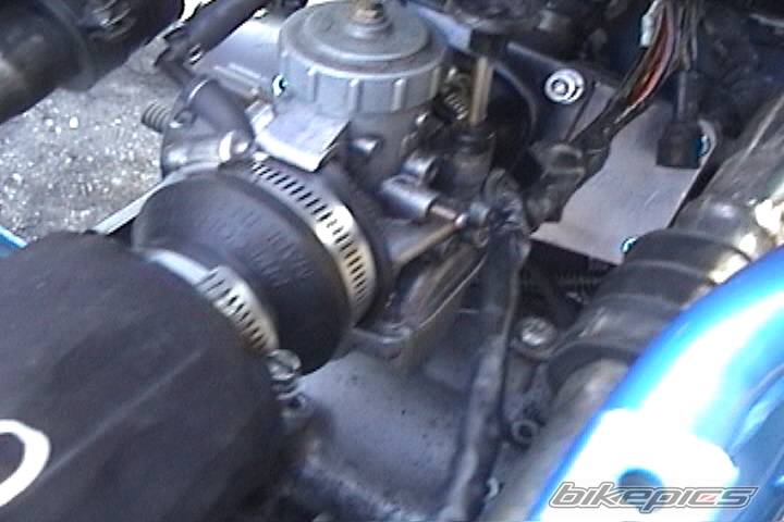 Photo 286087