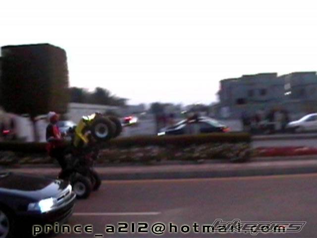Photo 286156