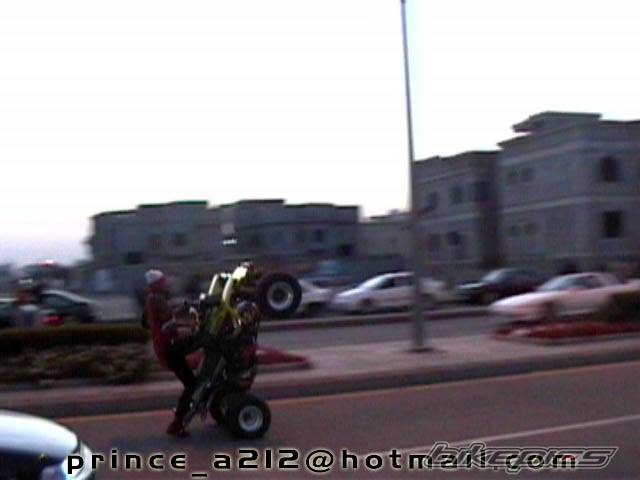 Photo 286158