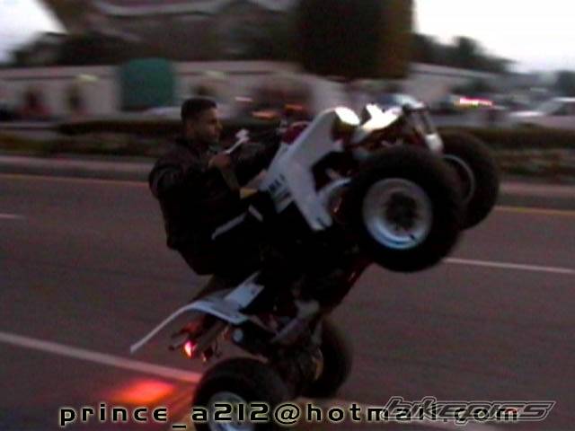 Photo 286173