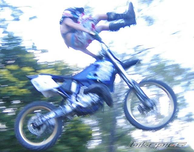 Photo 286218