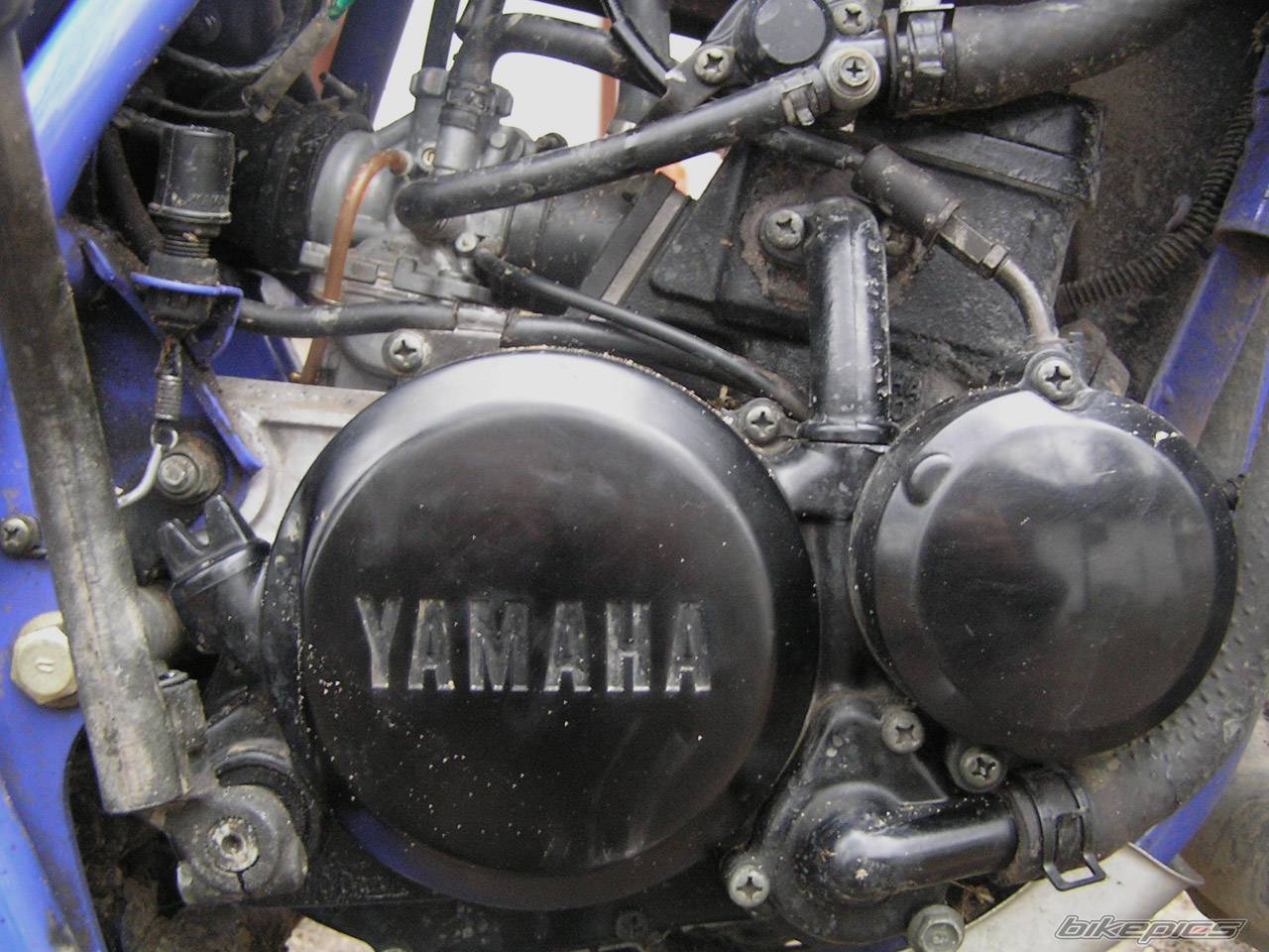 Bike Photo 286242