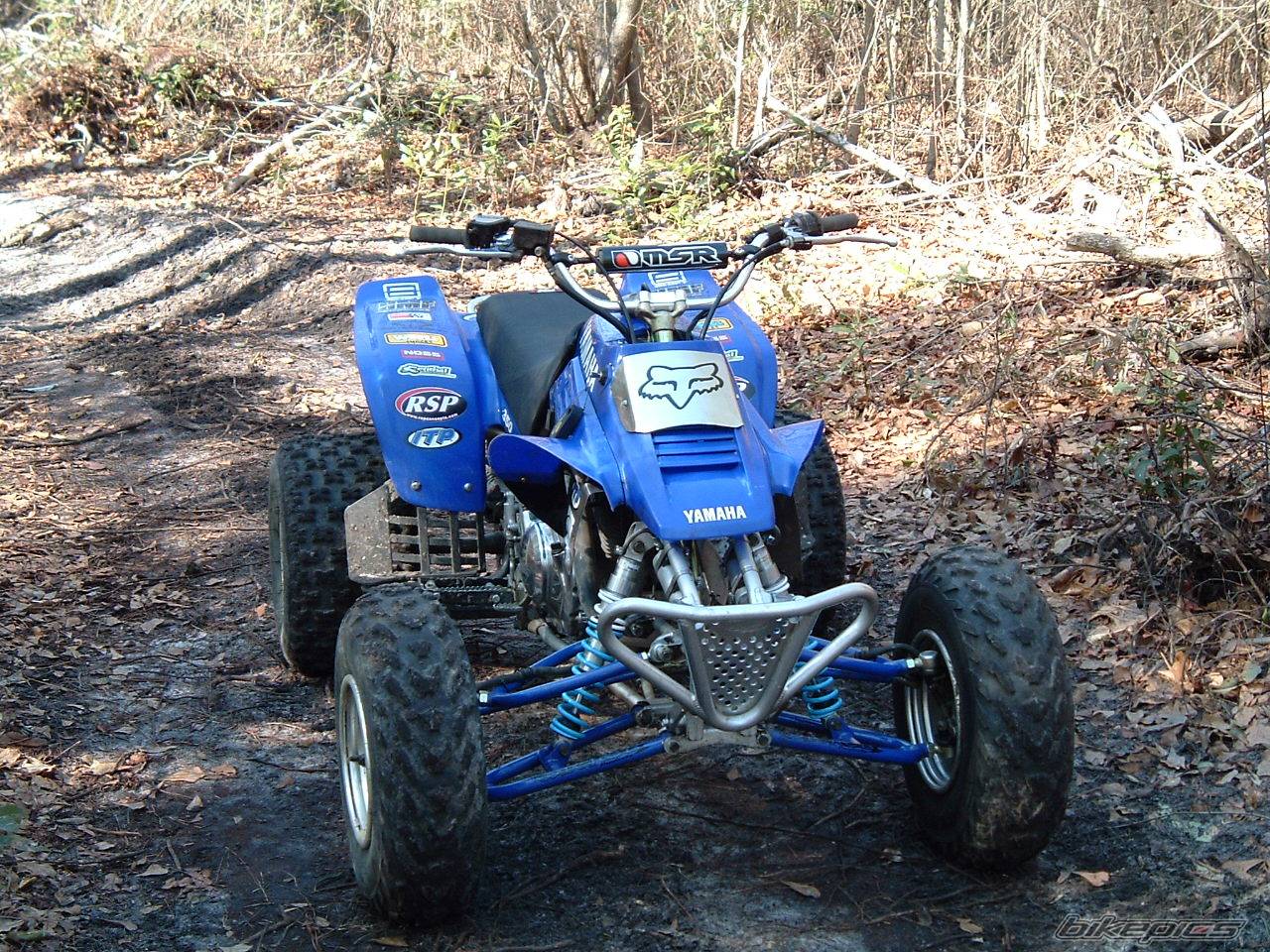 Photo 286372