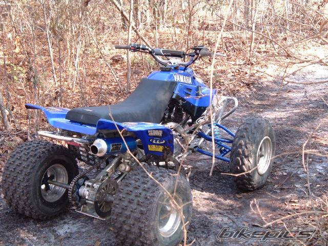 Photo 286381