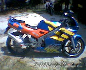 Photo 286447