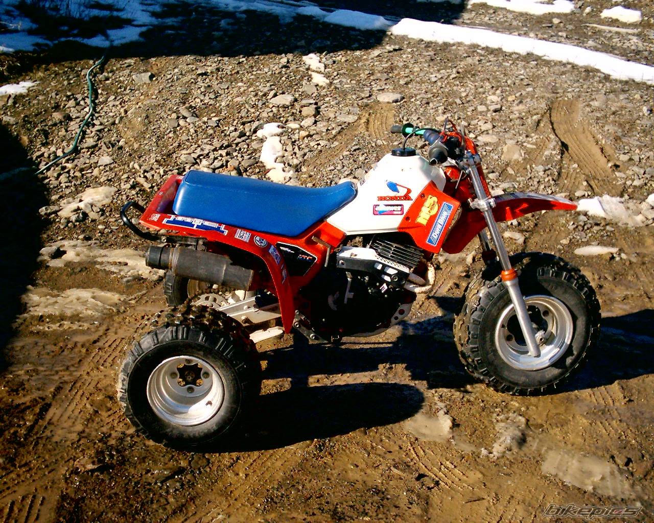 Photo 286526