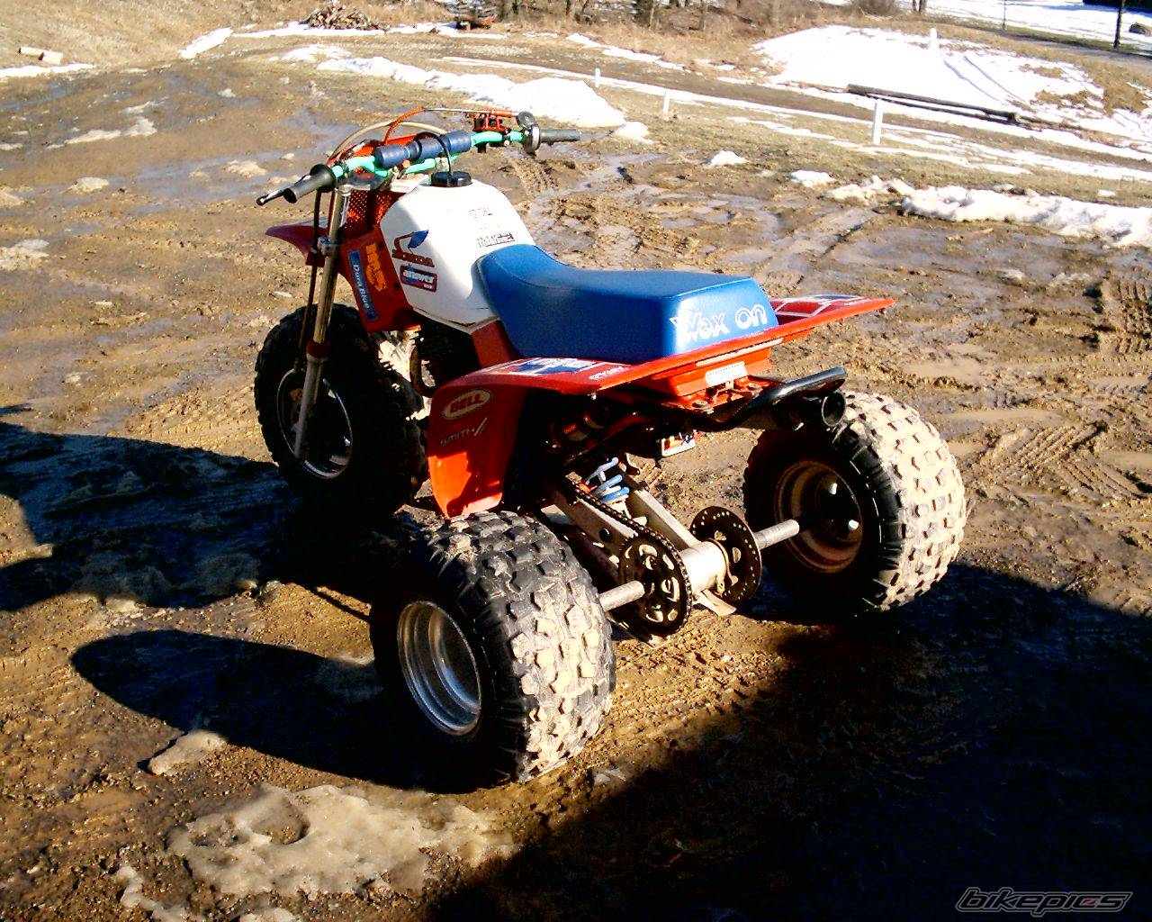 Photo 286530