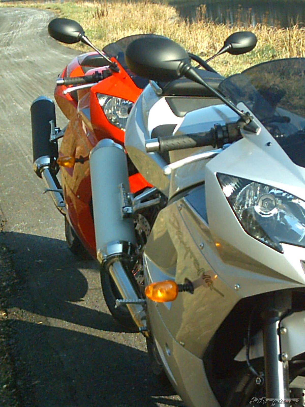 Photo 286573