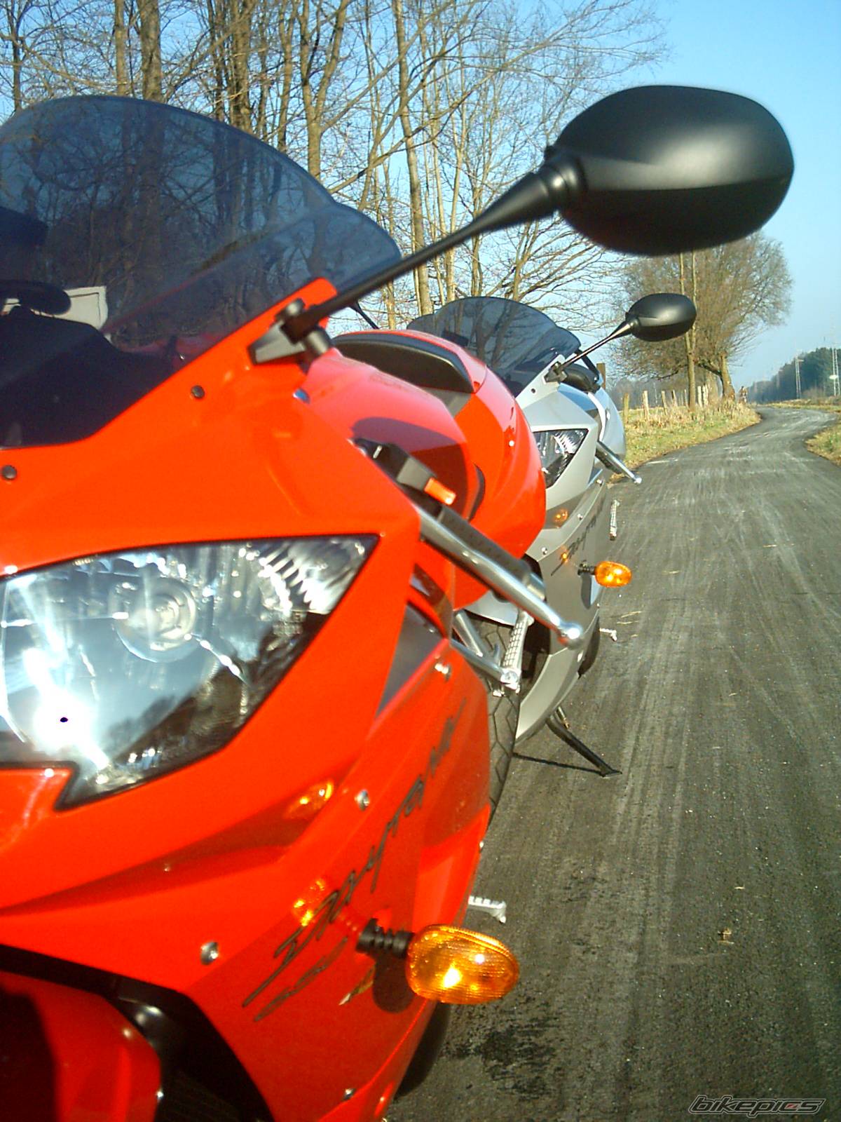 Photo 286574