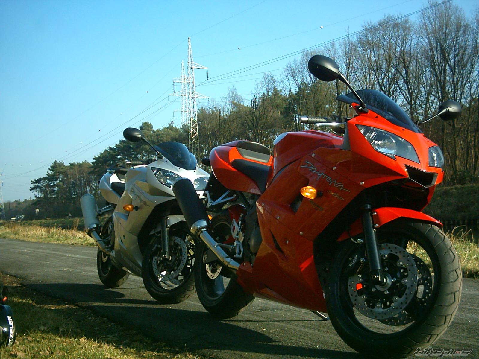 Photo 286577