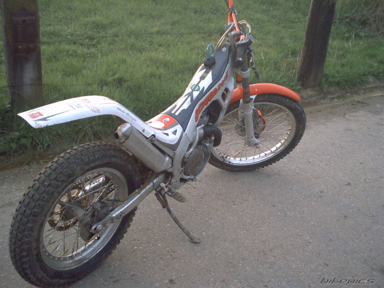 Photo 286597