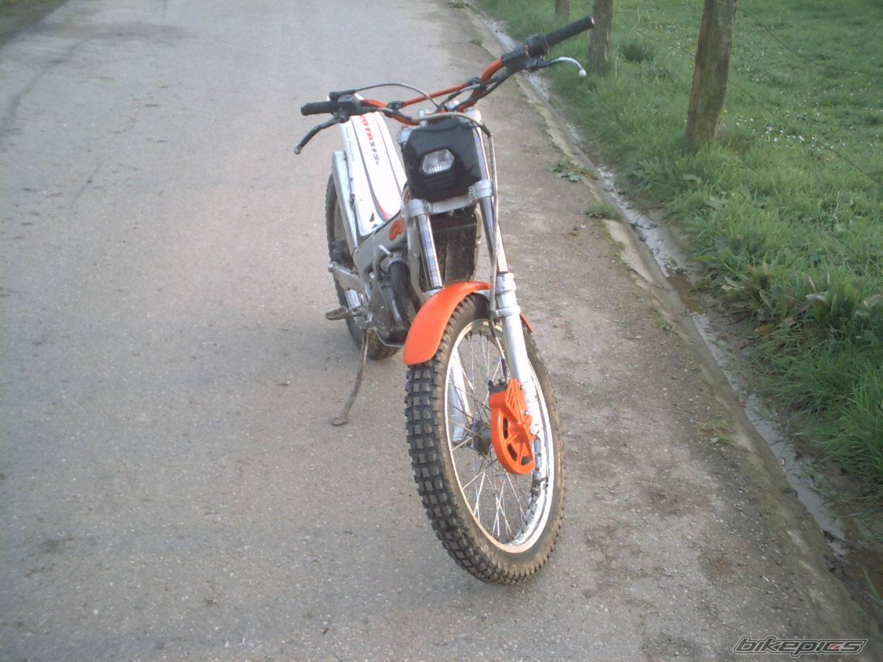 Photo 286599