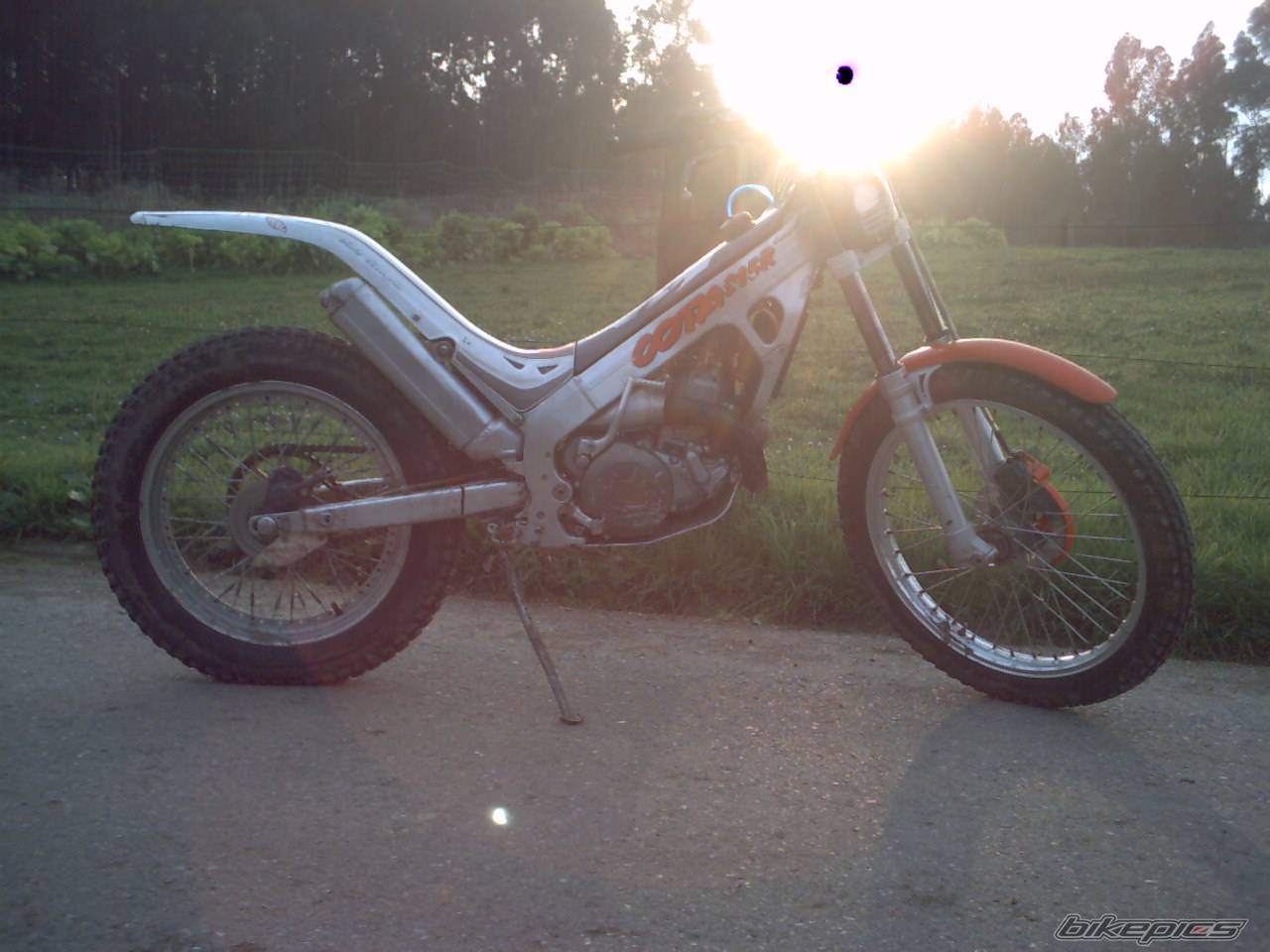 Photo 286606