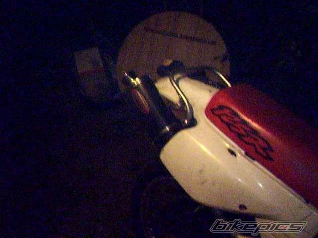 Photo 286613