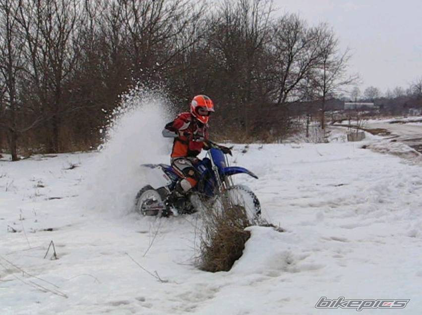 Photo 286632