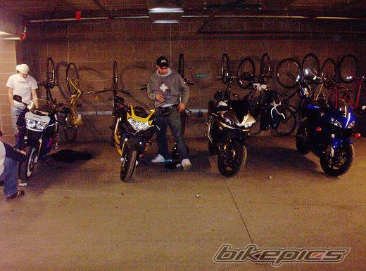 Photo 286648
