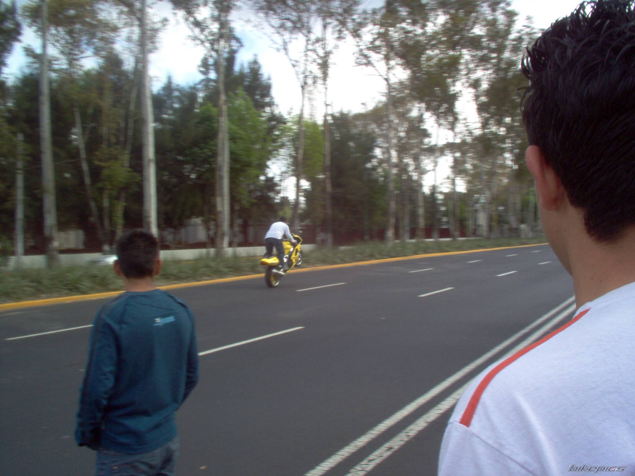 Bike Photo 286666