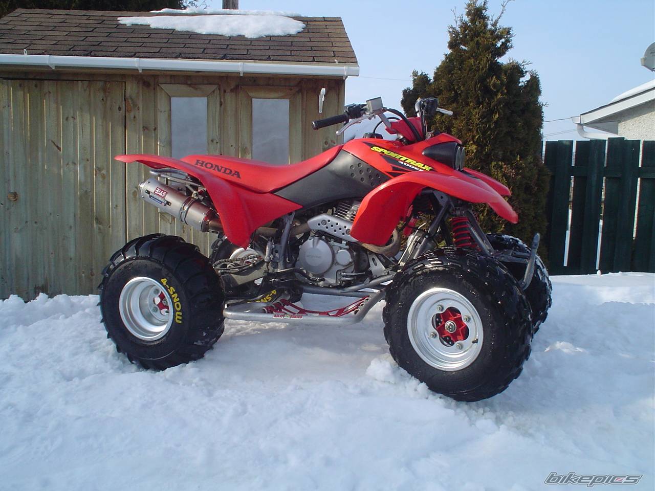 Photo 286686