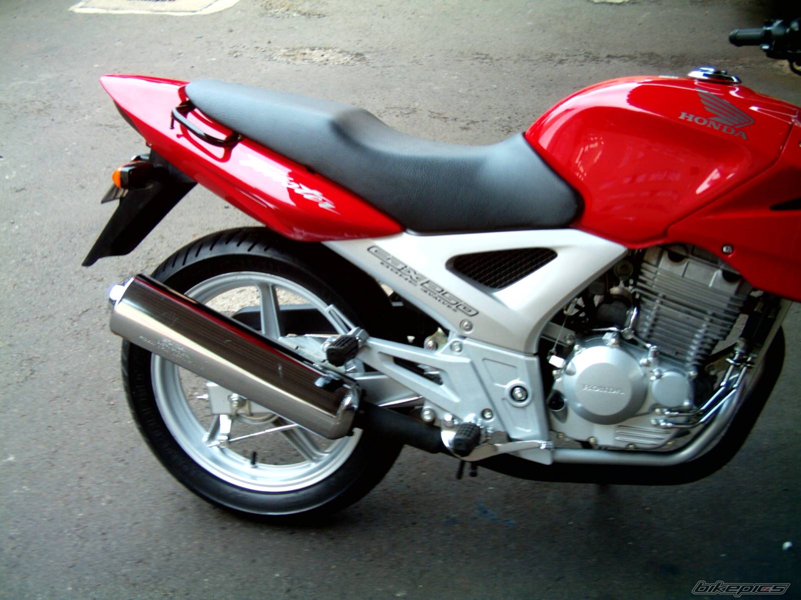 Photo 286730