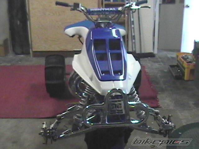 Photo 286772