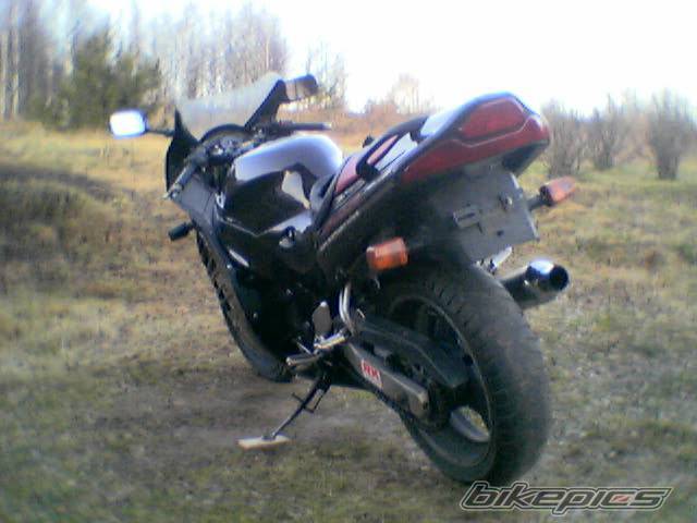 Photo 286840