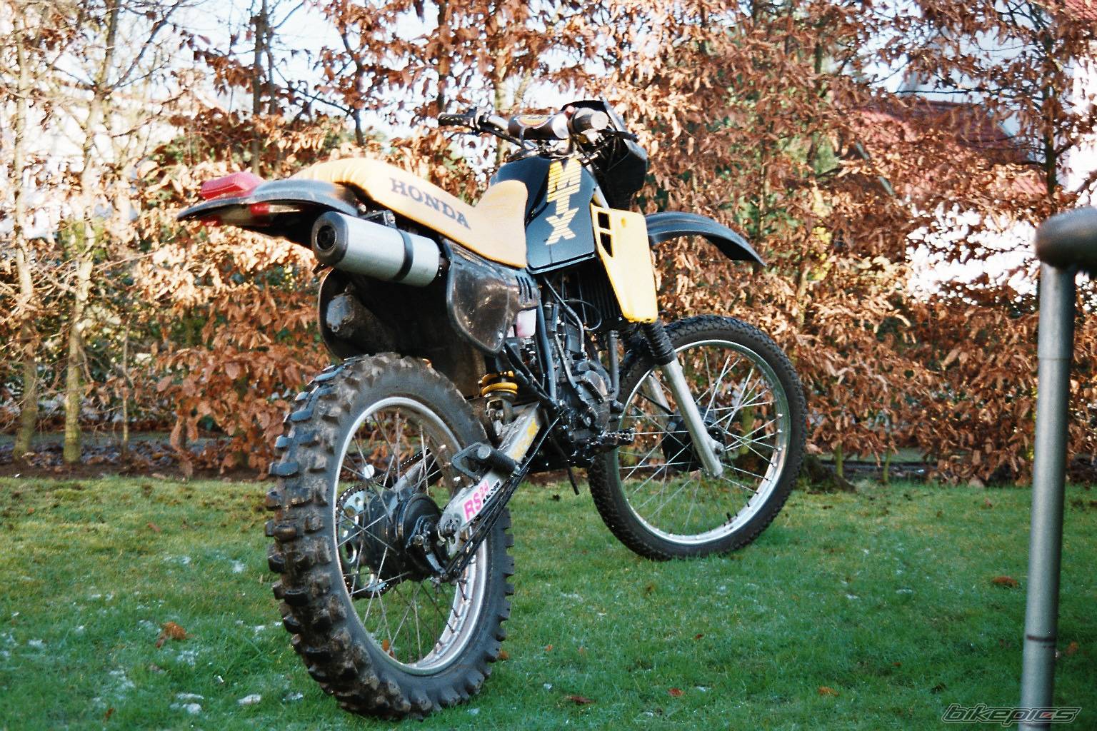 Photo 286868
