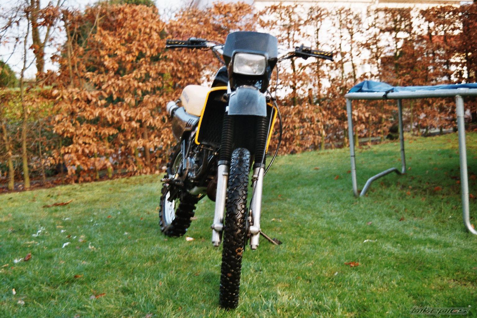 Photo 286884