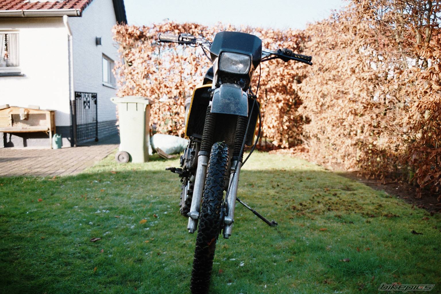 Photo 286893