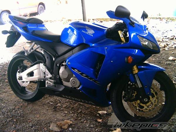 Photo 286980