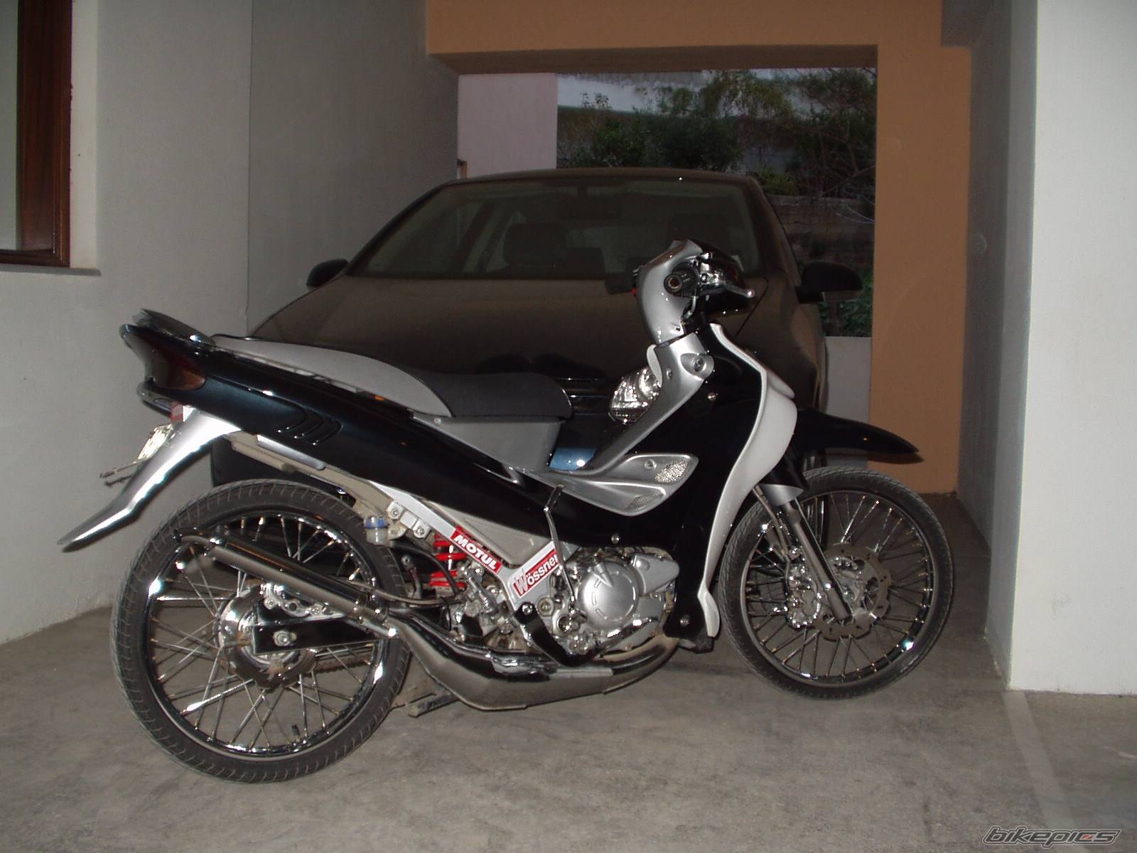 Photo 286982