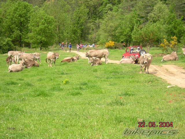 Photo 287041