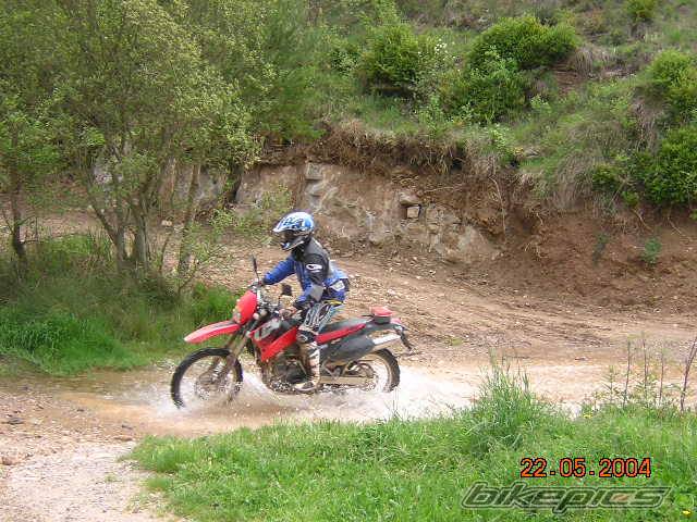 Photo 287042