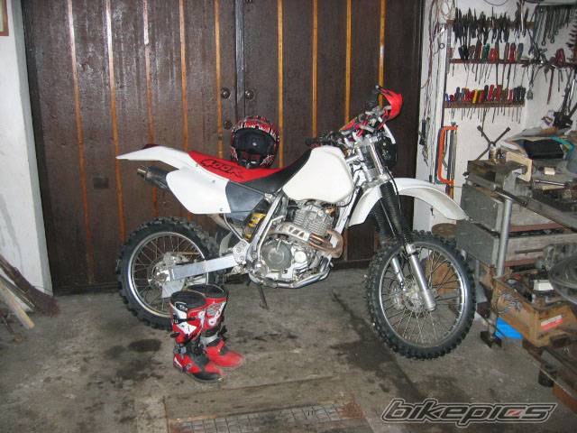 Photo 287051