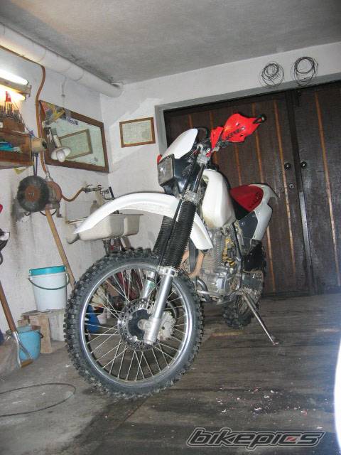 Photo 287052