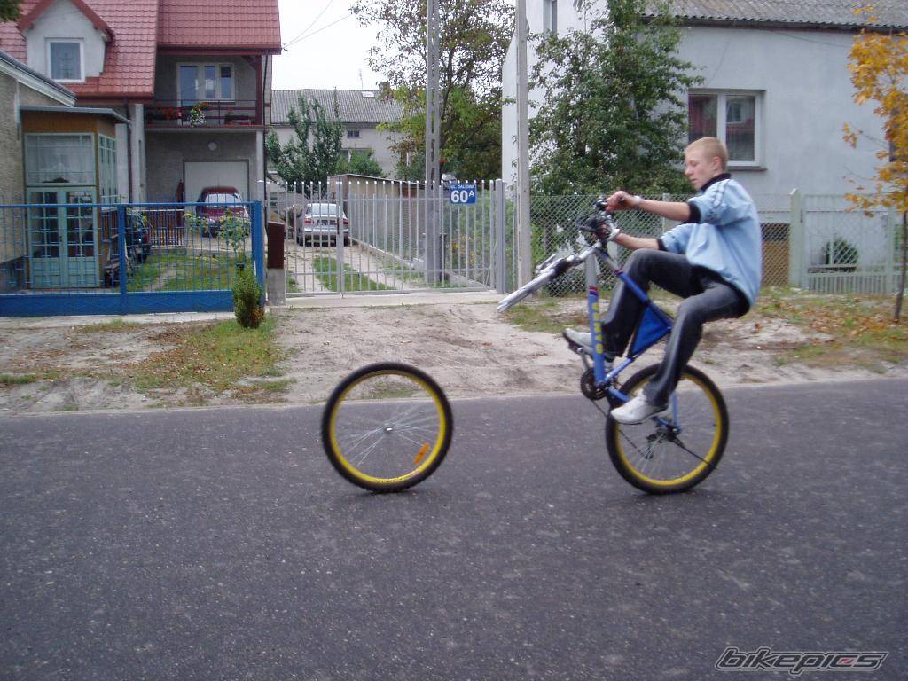 Photo 287059