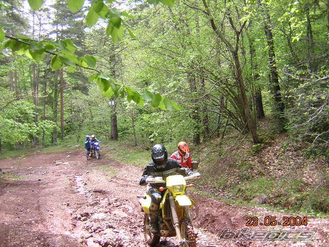Photo 287065
