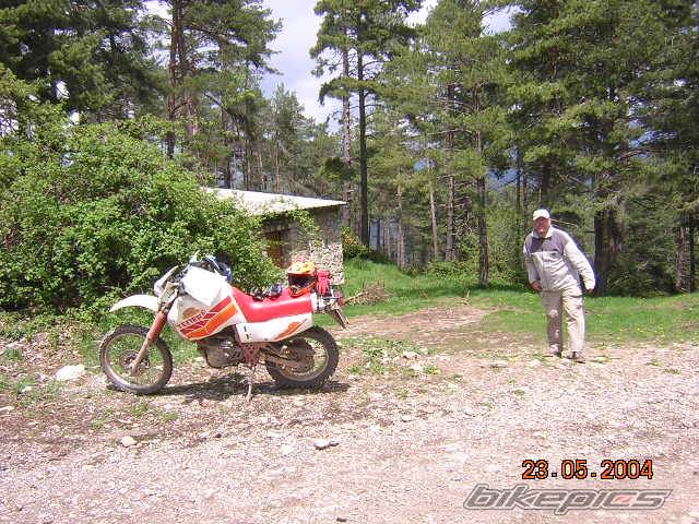 Photo 287067