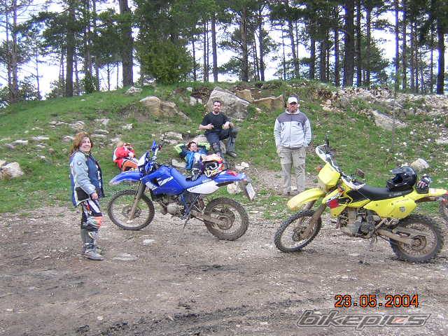 Photo 287068