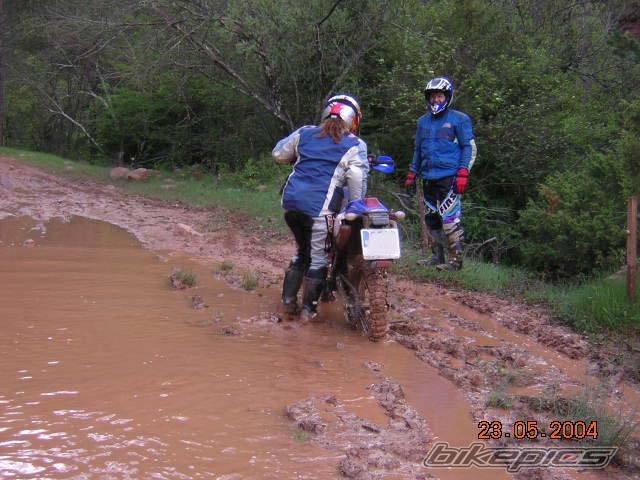 Photo 287071