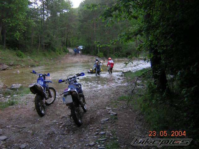 Photo 287077
