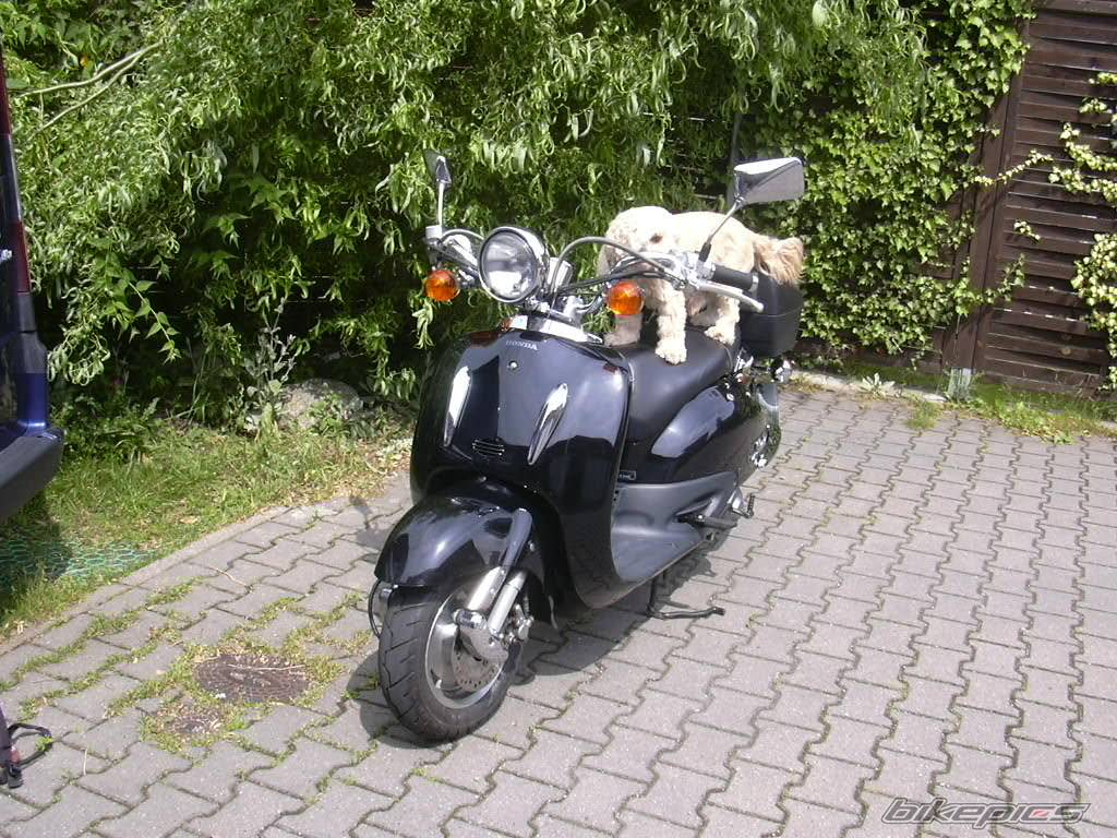 Photo 287153