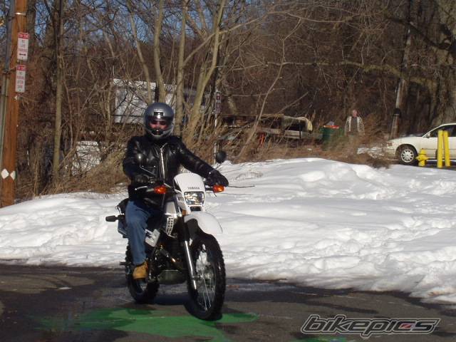 Photo 287179
