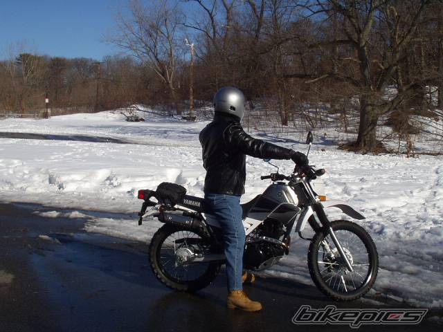 Photo 287180