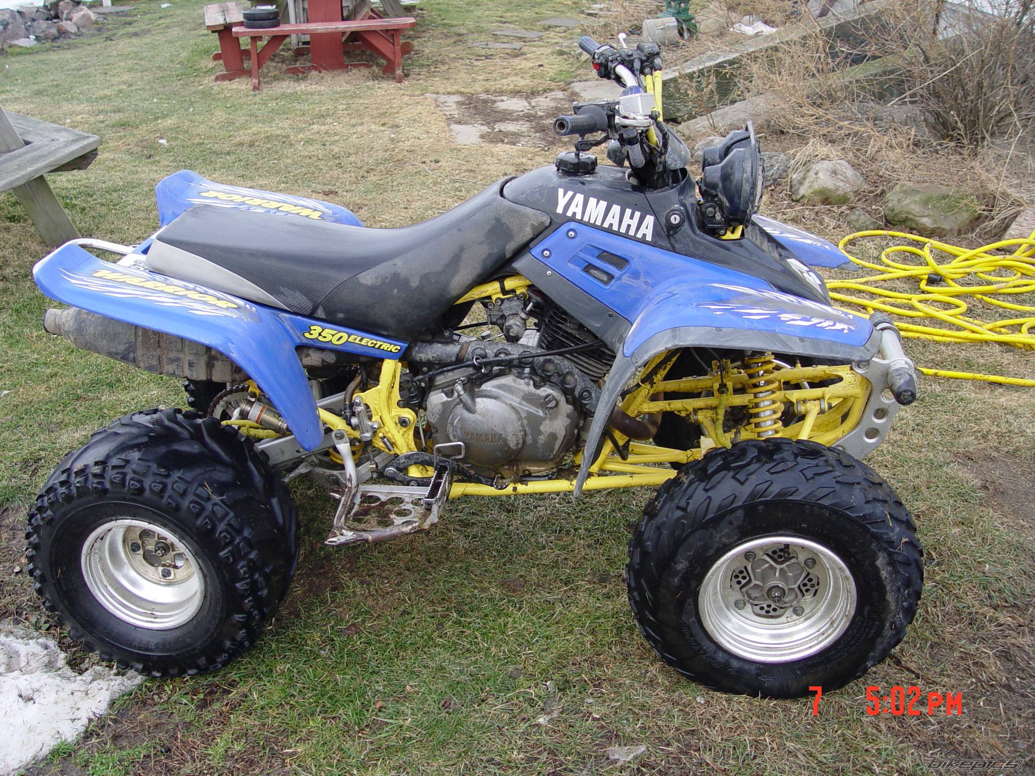 Photo 287281