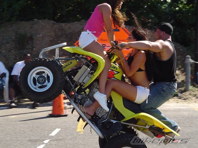 Photo 287323