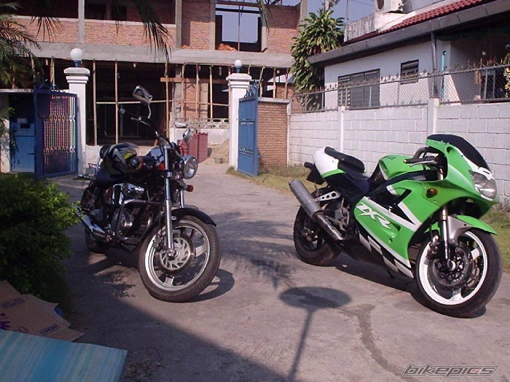Photo 287343