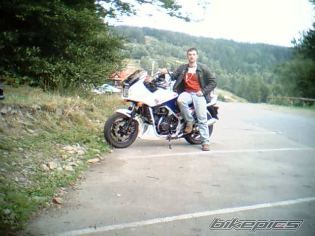 Photo 287399